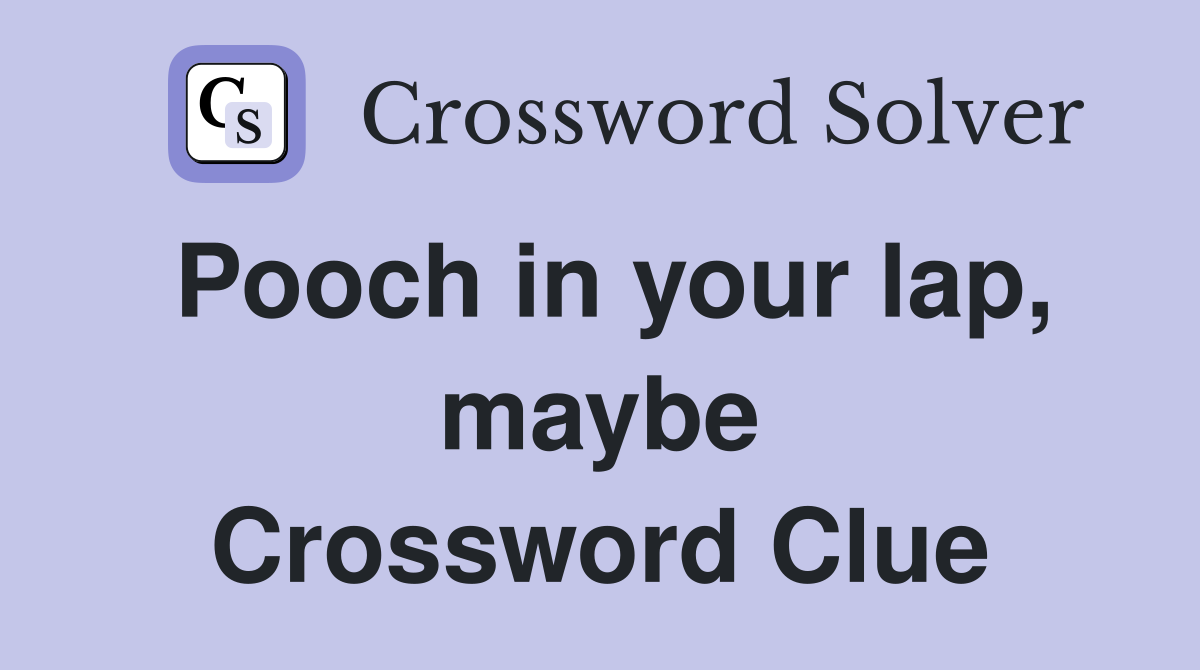 Pooch in your lap, maybe Crossword Clue