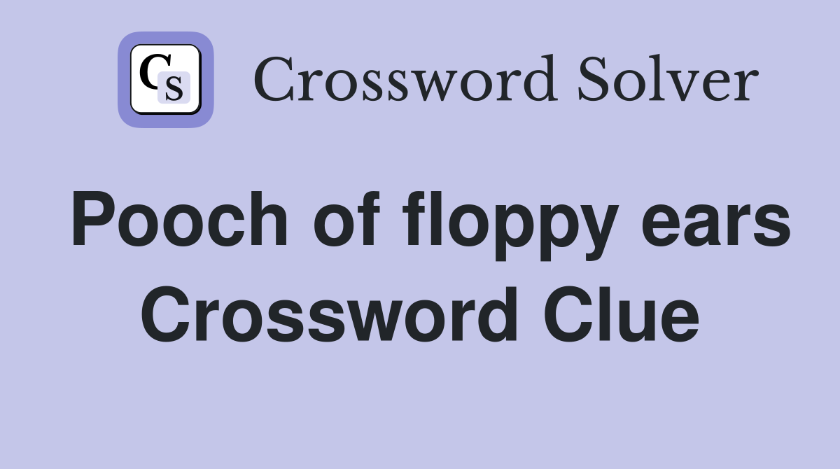 Pooch of floppy ears Crossword Clue
