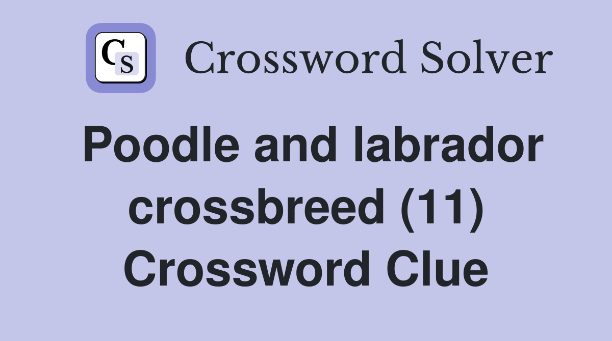 Poodle and labrador crossbreed (11) Crossword Clue