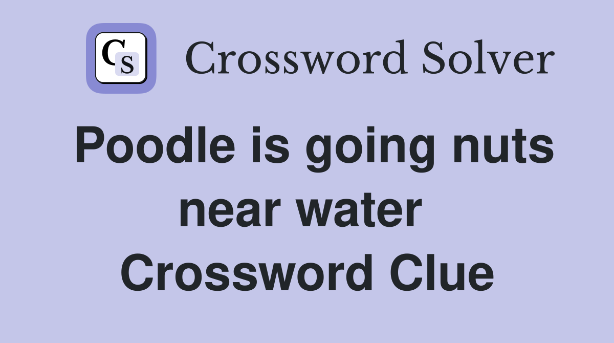 Poodle is going nuts near water  Crossword Clue