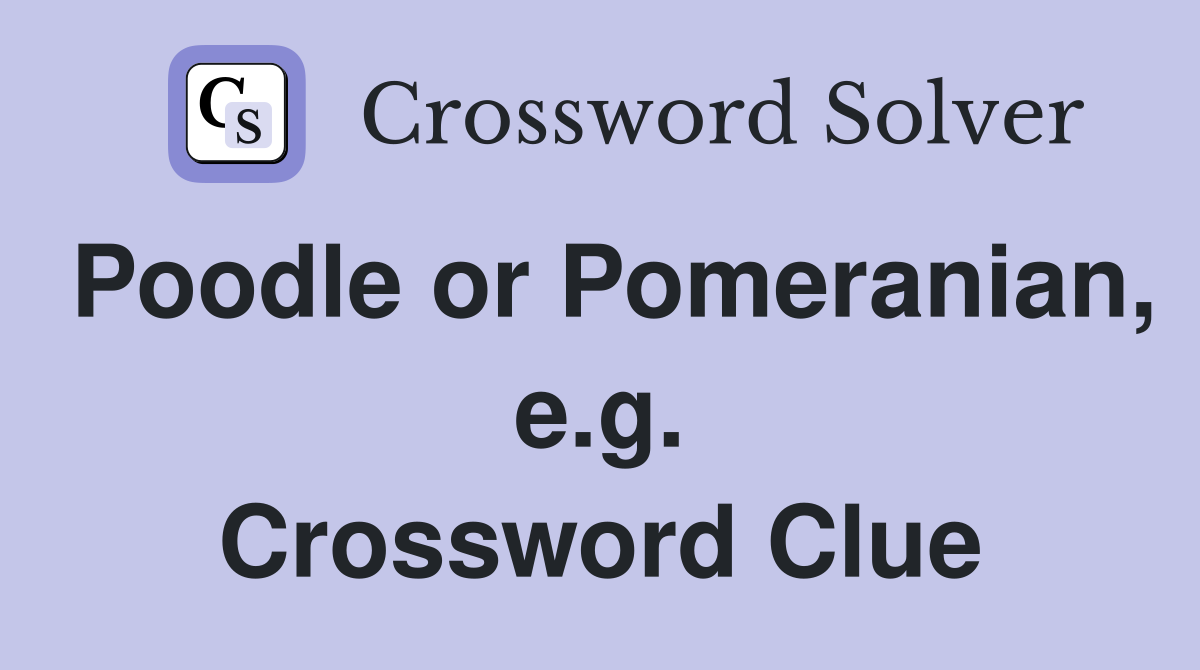 Poodle or Pomeranian, e.g. Crossword Clue