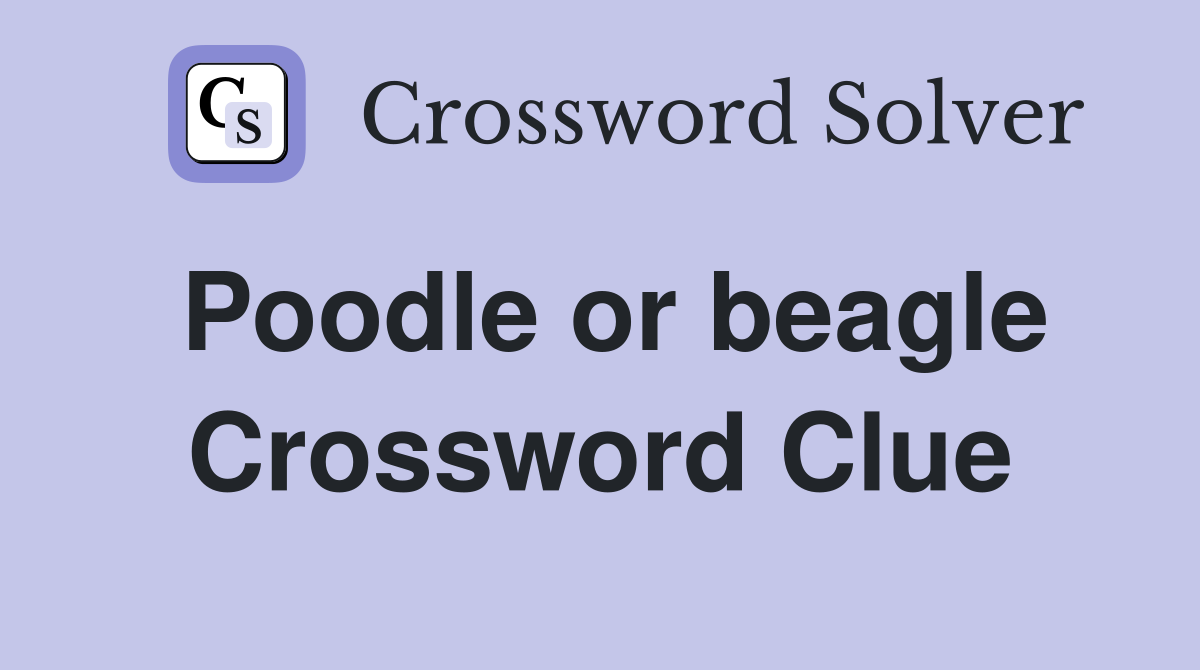 Poodle or beagle Crossword Clue