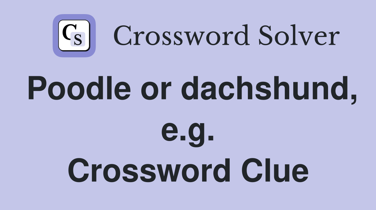 Poodle or dachshund, e.g. Crossword Clue
