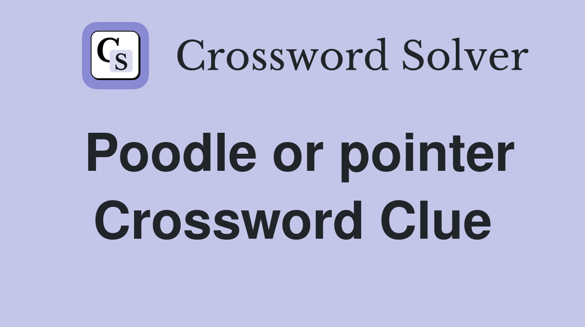 Poodle or pointer Crossword Clue