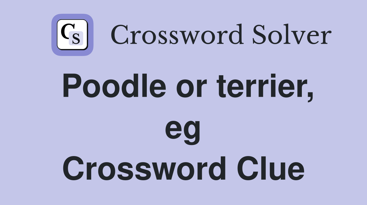 Poodle or terrier, eg Crossword Clue