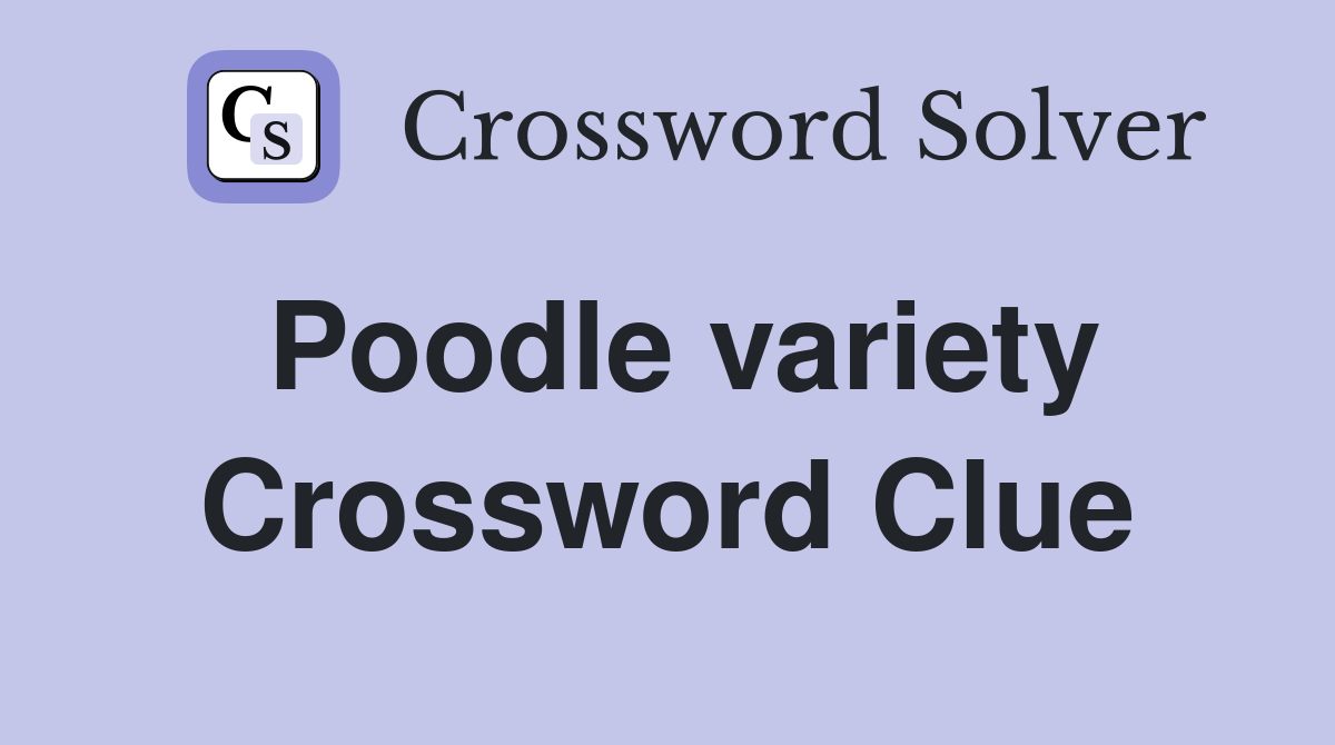 Poodle variety Crossword Clue