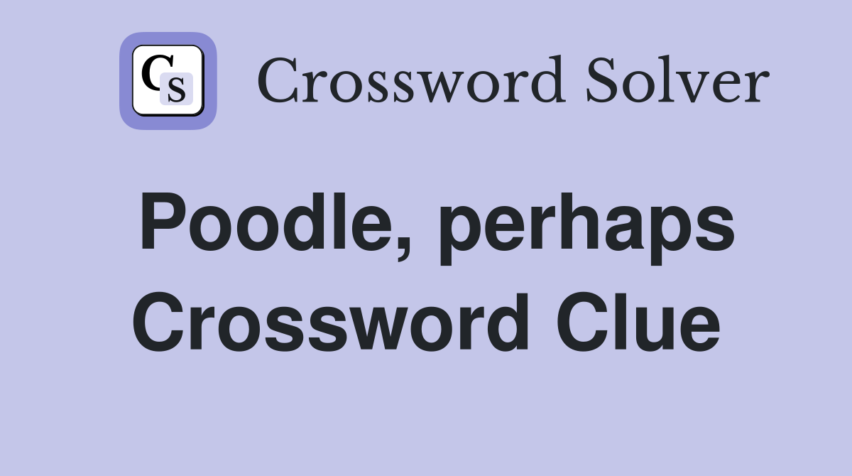 Poodle, perhaps Crossword Clue