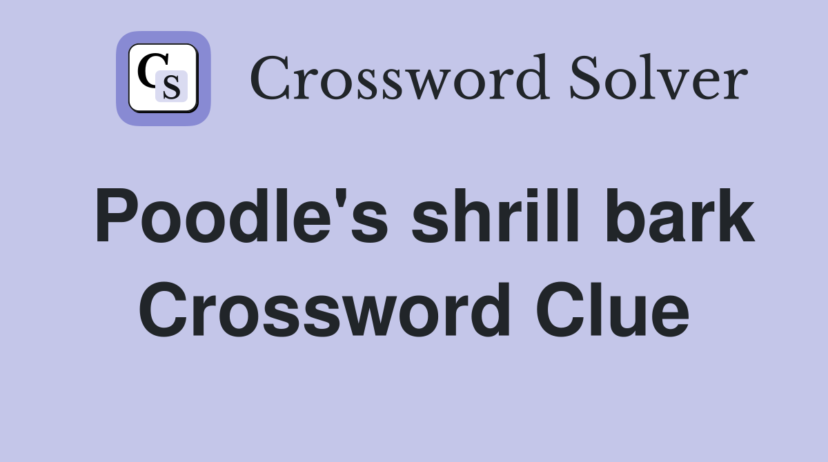 Poodle's shrill bark Crossword Clue