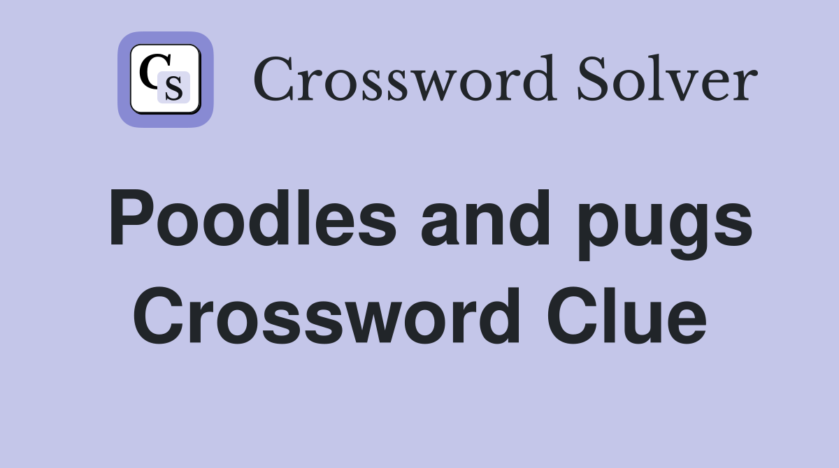 Poodles and pugs Crossword Clue