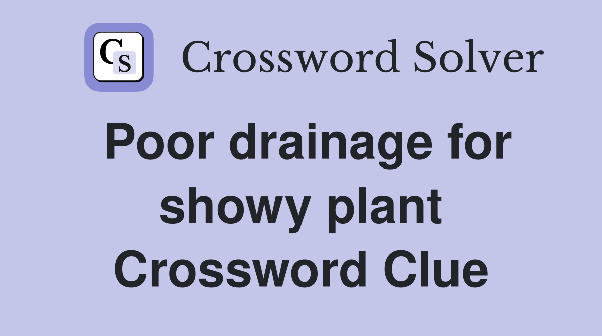 Poor drainage for showy plant Crossword Clue