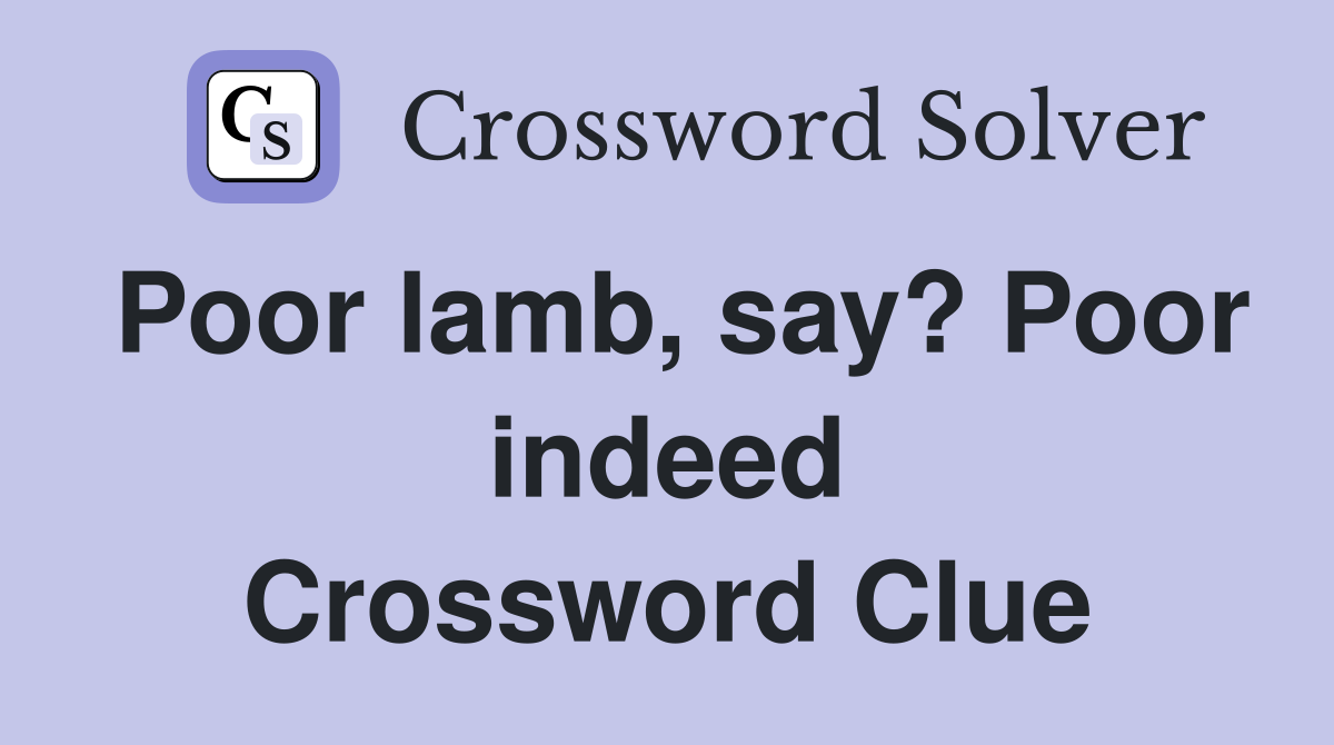 Poor lamb, say? Poor indeed Crossword Clue