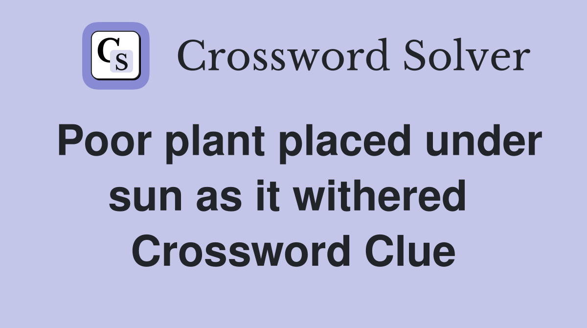 Poor plant placed under sun as it withered  Crossword Clue