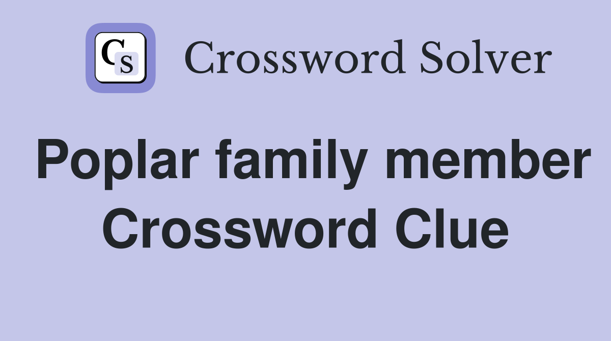 Poplar family member Crossword Clue