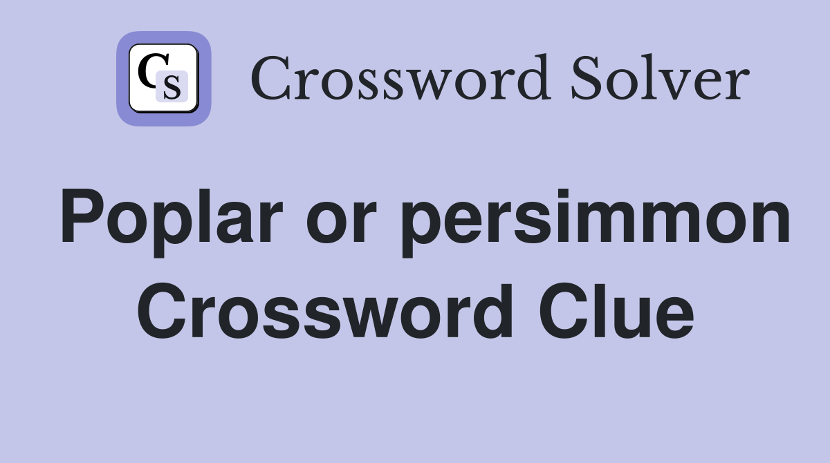 Poplar or persimmon Crossword Clue
