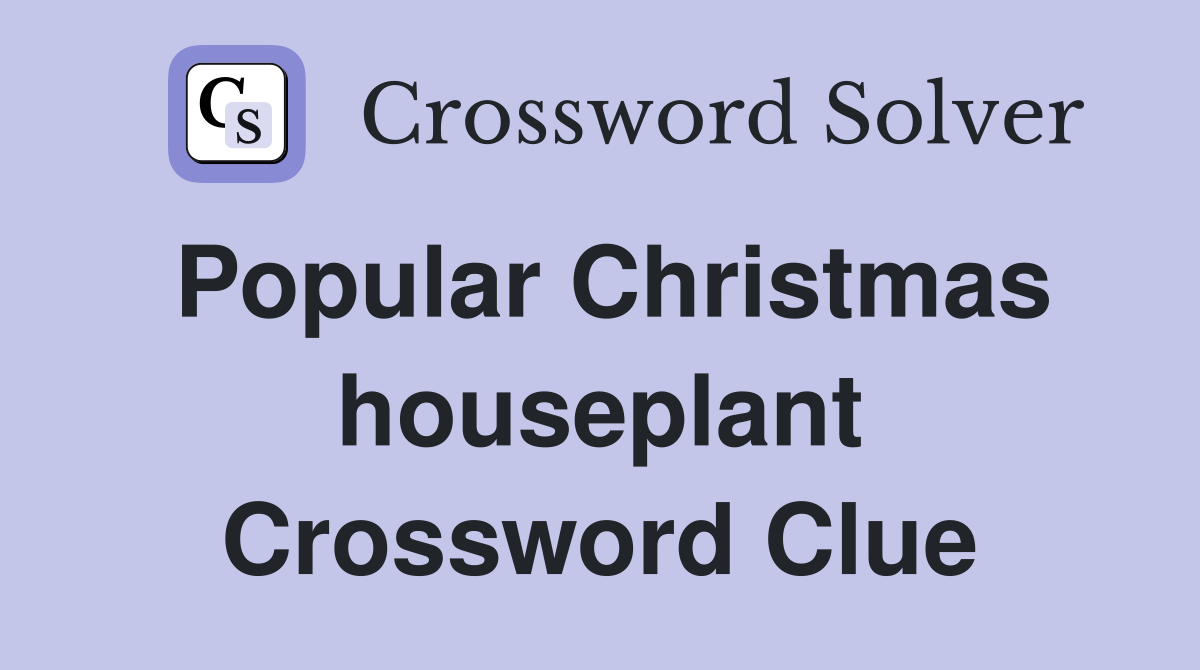 Popular Christmas houseplant Crossword Clue