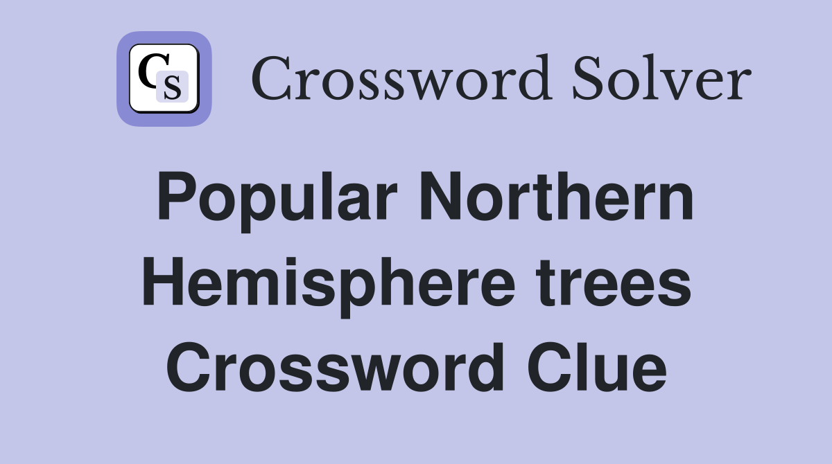 Popular Northern Hemisphere trees Crossword Clue