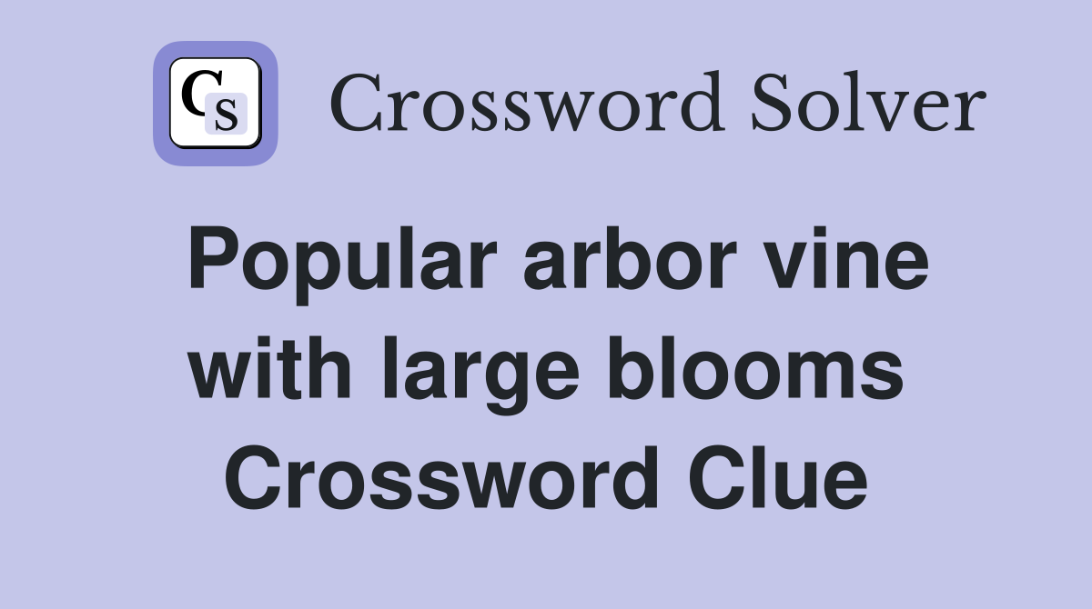 Popular arbor vine with large blooms Crossword Clue