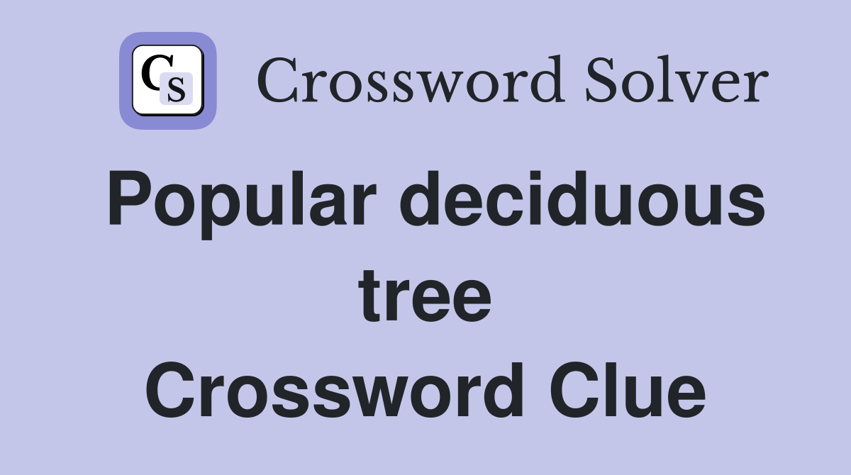Popular deciduous tree Crossword Clue
