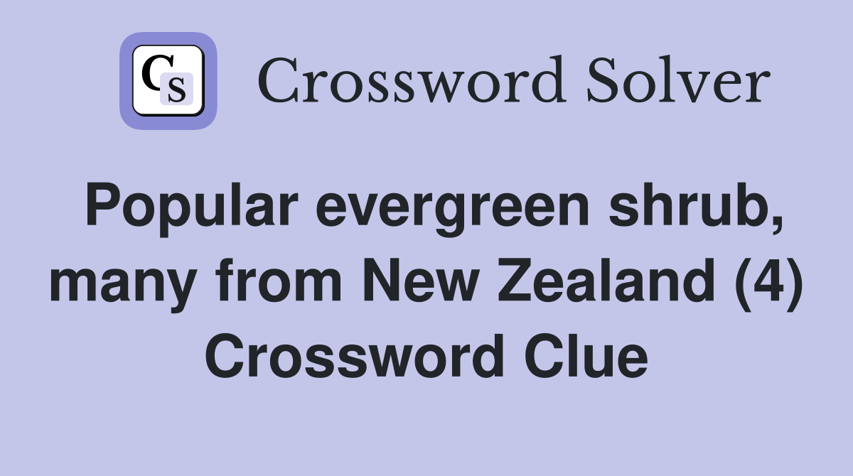 Popular evergreen shrub, many from New Zealand (4) Crossword Clue