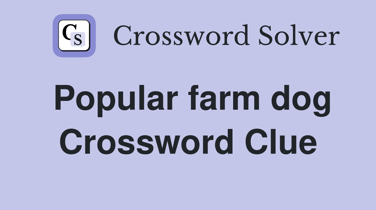 Popular farm dog Crossword Clue