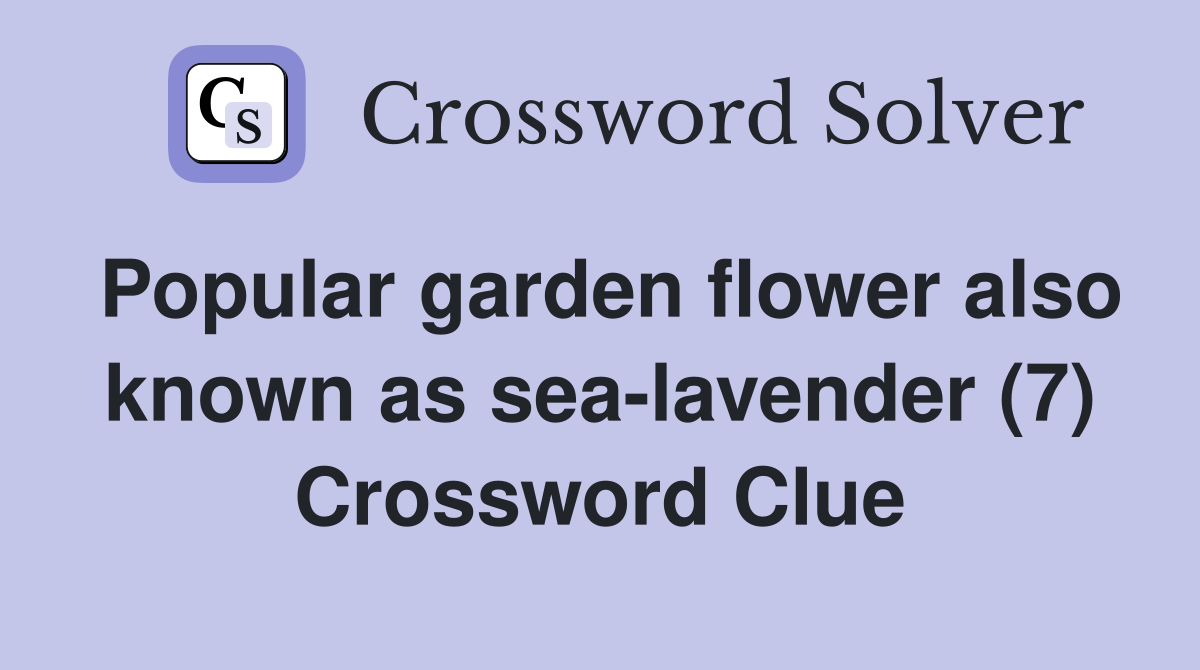 Popular garden flower also known as sea-lavender (7) Crossword Clue