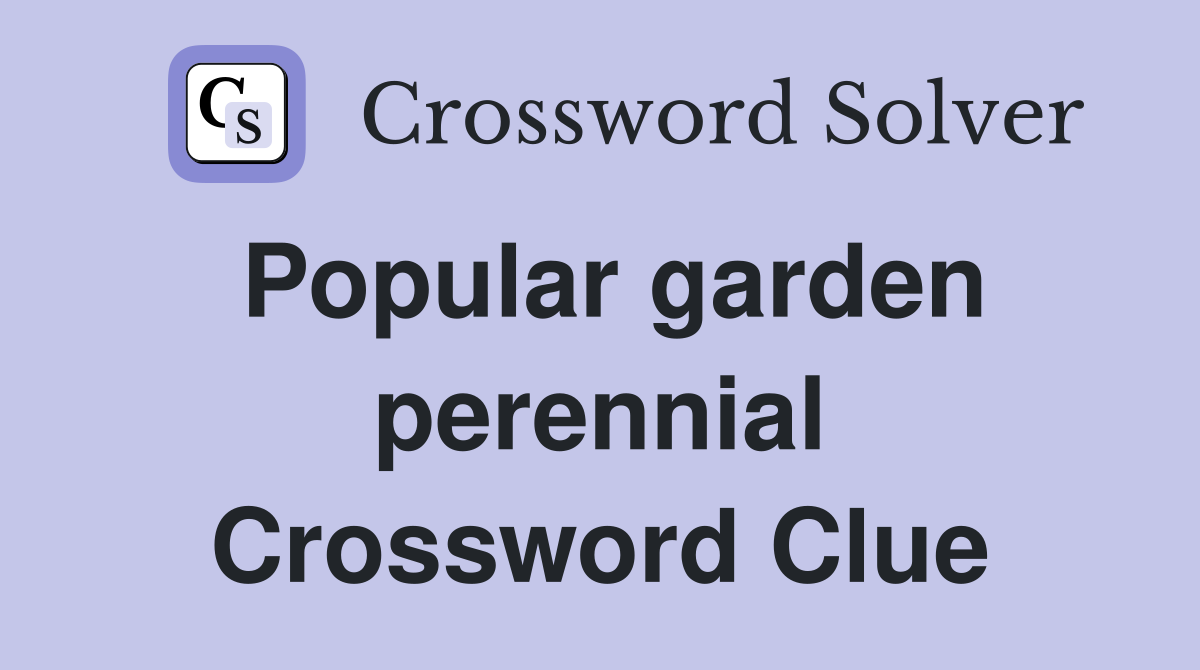 Popular garden perennial Crossword Clue