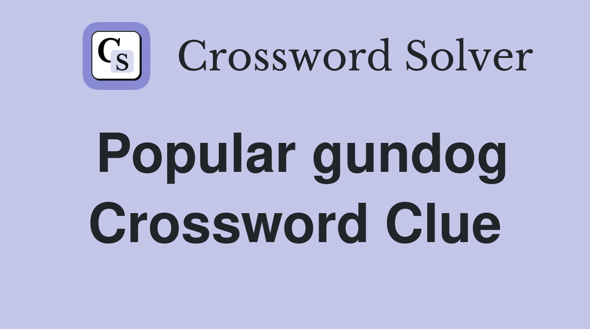 Popular gundog Crossword Clue