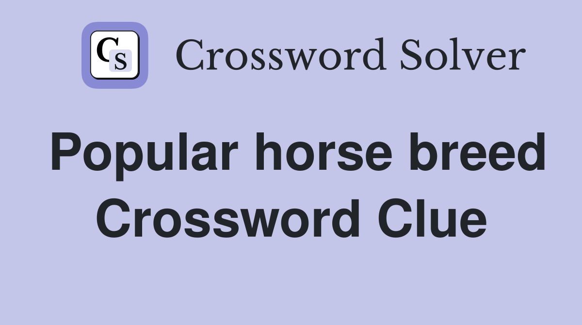 Popular horse breed Crossword Clue