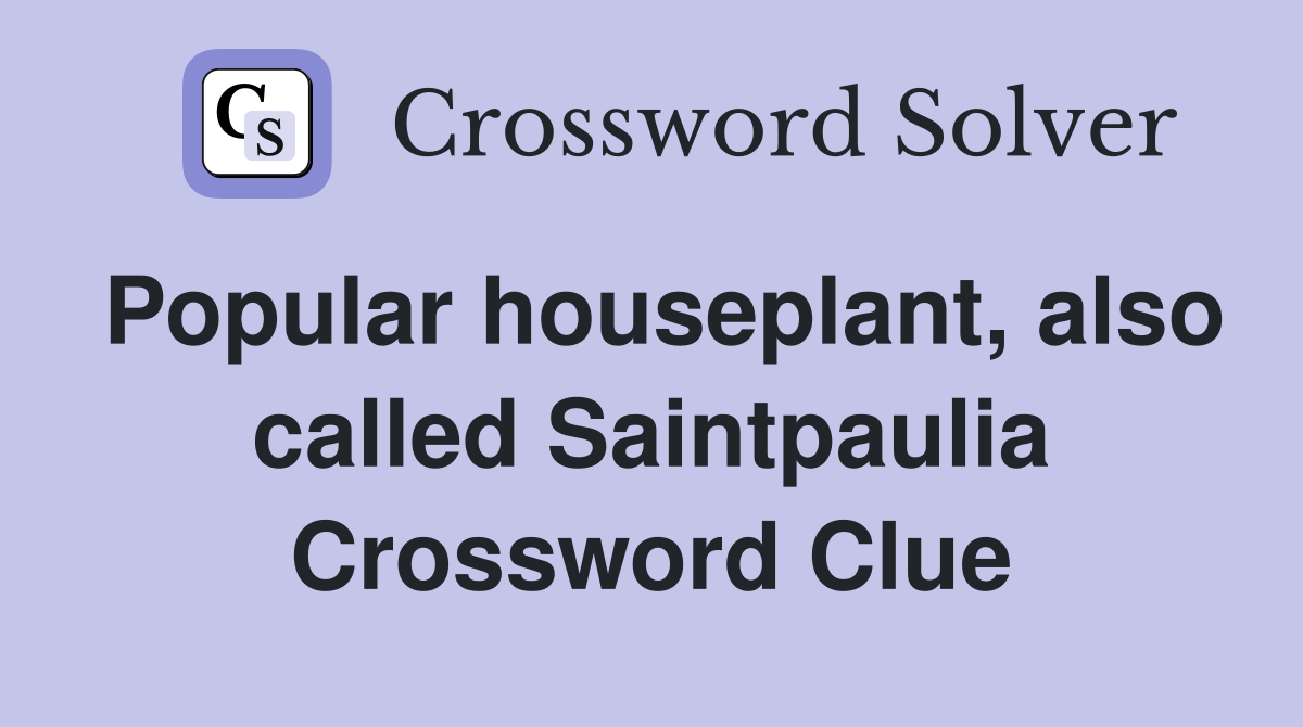 Popular houseplant, also called Saintpaulia Crossword Clue