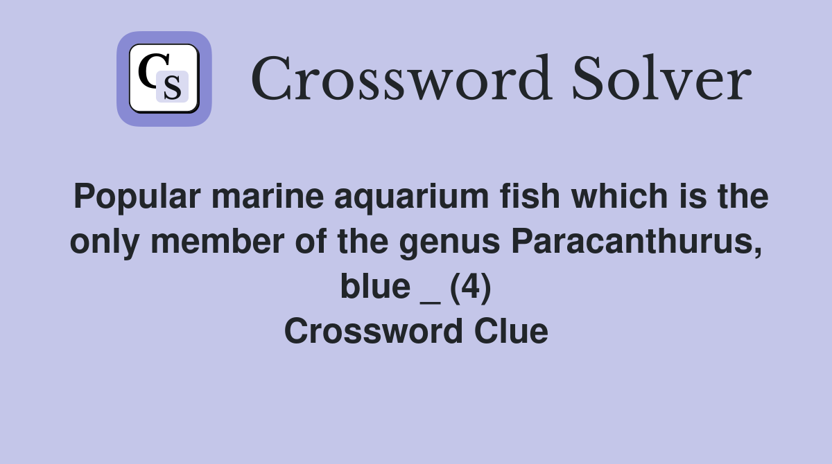 Popular marine aquarium fish which is the only member of the genus Paracanthurus, blue _ (4) Crossword Clue