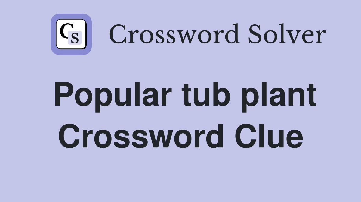 Popular tub plant Crossword Clue