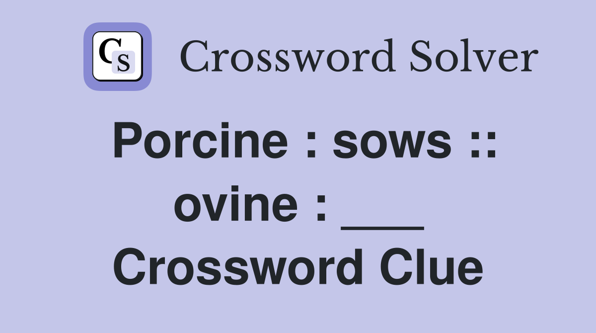 Porcine : sows :: ovine : ___ Crossword Clue