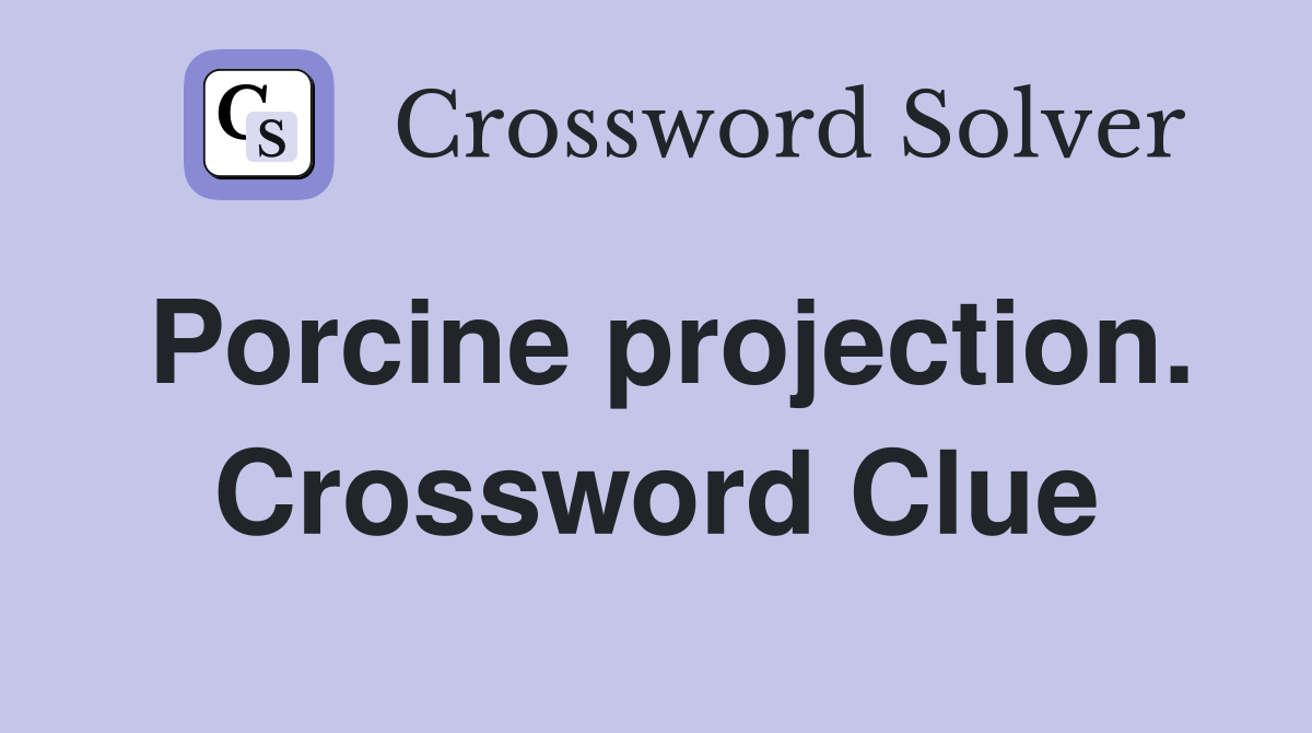Porcine projection. Crossword Clue