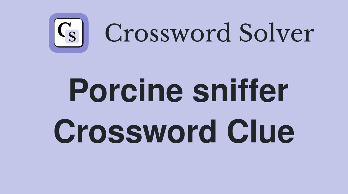 Porcine sniffer Crossword Clue