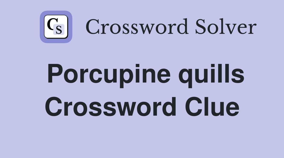 Porcupine quills Crossword Clue