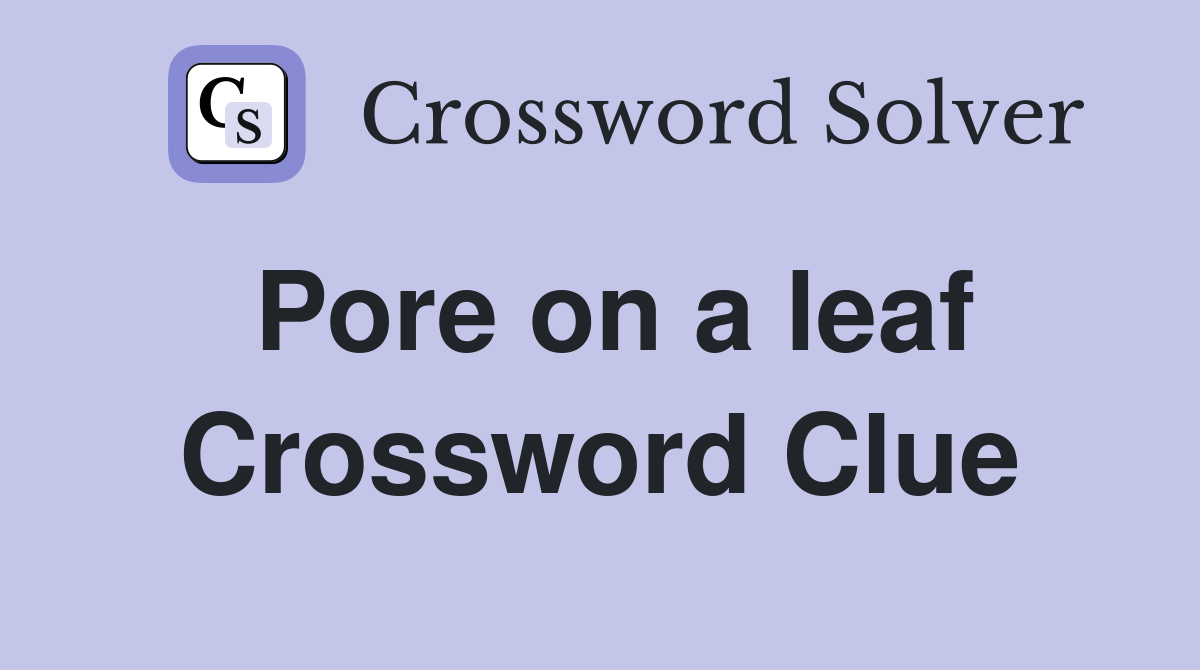 Pore on a leaf Crossword Clue