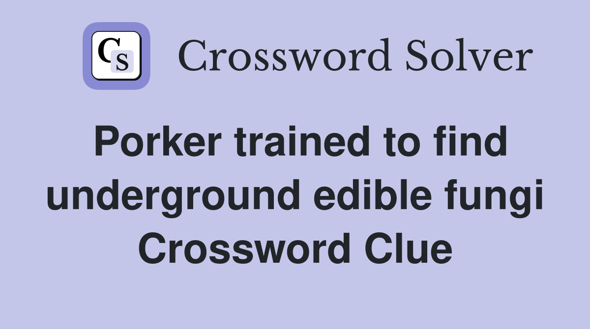 Porker trained to find underground edible fungi Crossword Clue