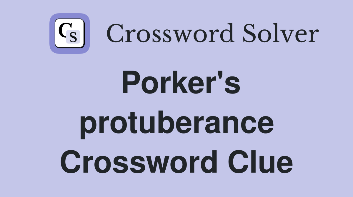 Porker's protuberance Crossword Clue