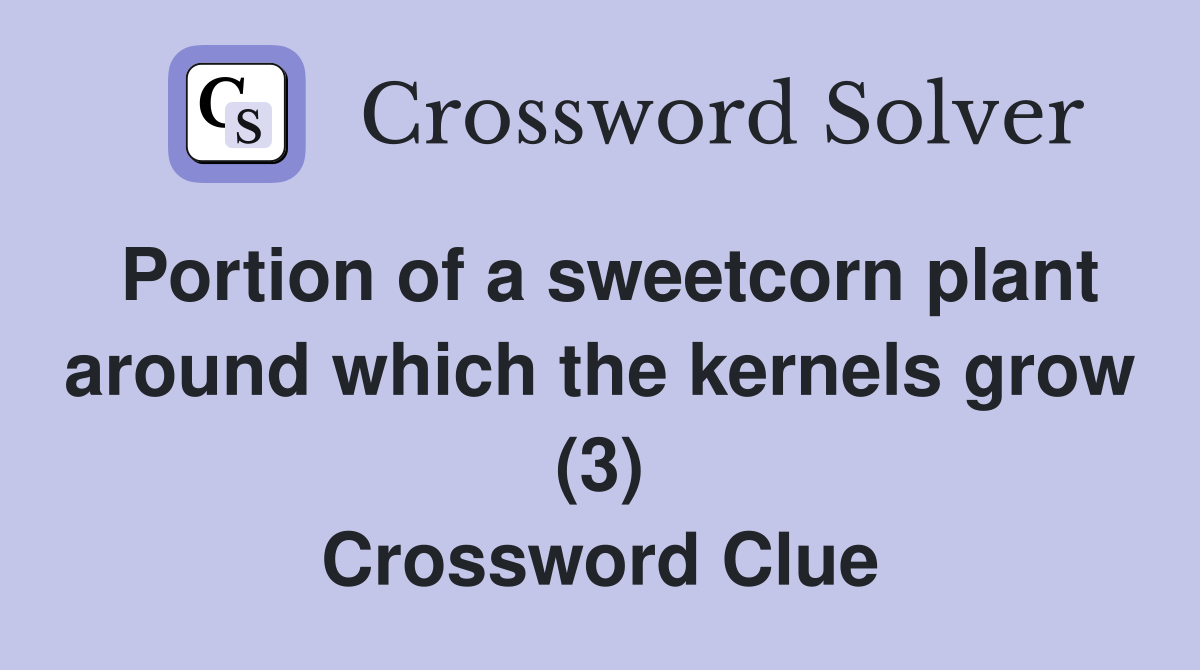 Portion of a sweetcorn plant around which the kernels grow (3) Crossword Clue