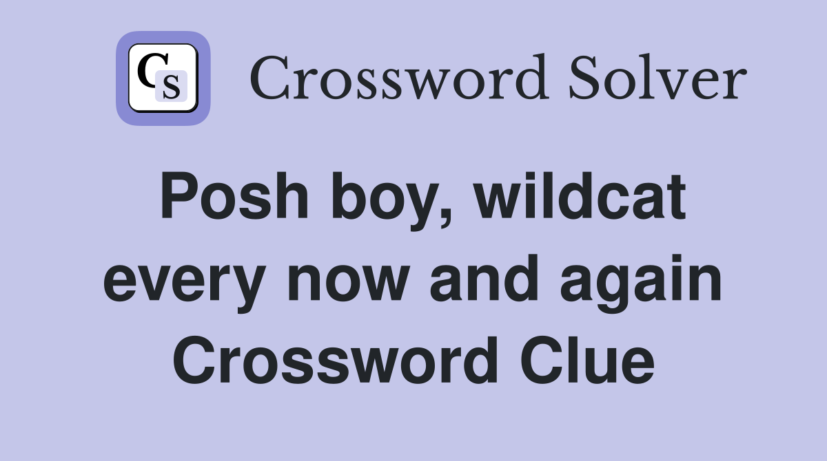 Posh boy, wildcat every now and again Crossword Clue