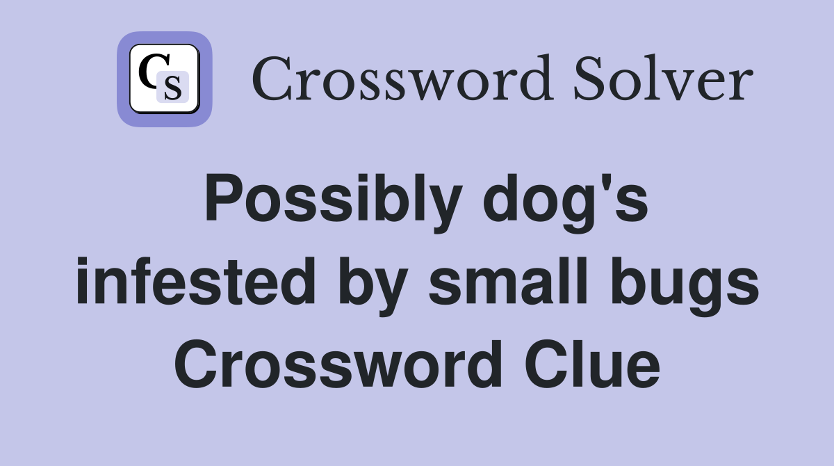 Possibly dog's infested by small bugs Crossword Clue