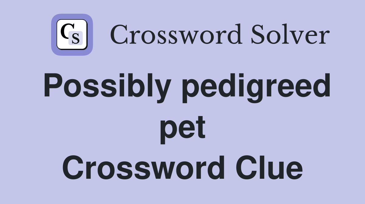 Possibly pedigreed pet Crossword Clue