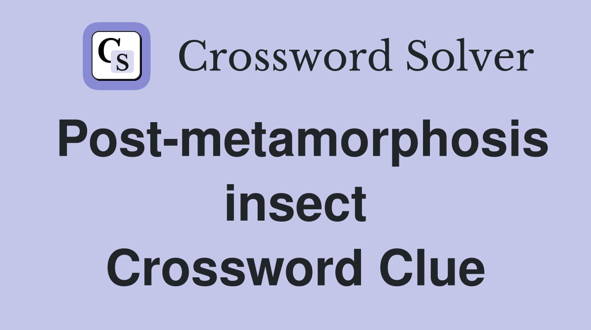 Post-metamorphosis insect Crossword Clue
