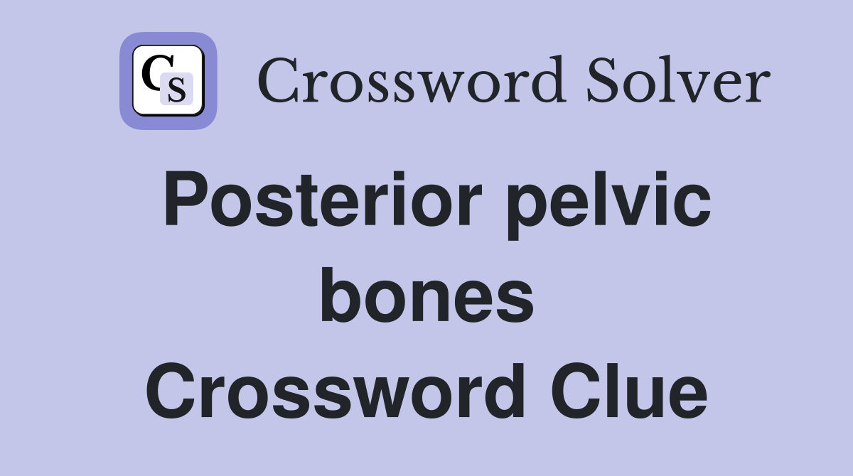Posterior pelvic bones Crossword Clue