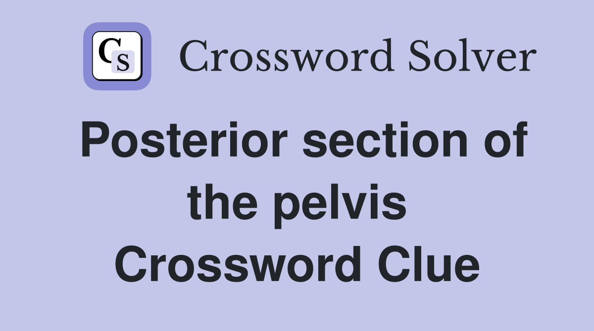 Posterior section of the pelvis Crossword Clue