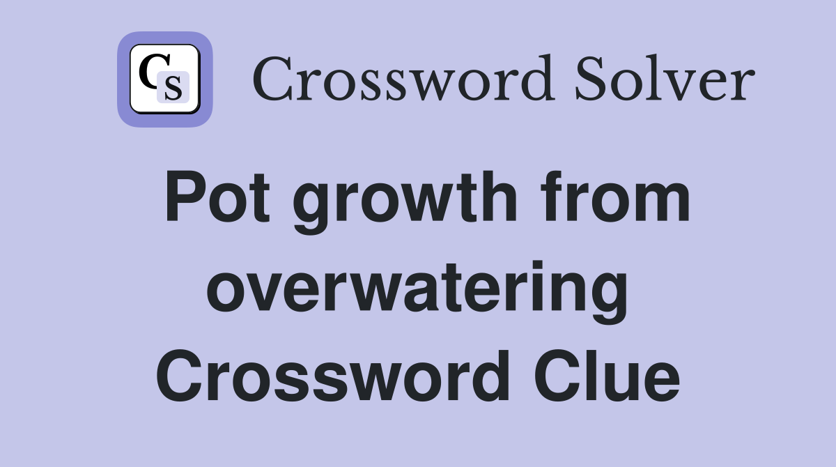 Pot growth from overwatering Crossword Clue