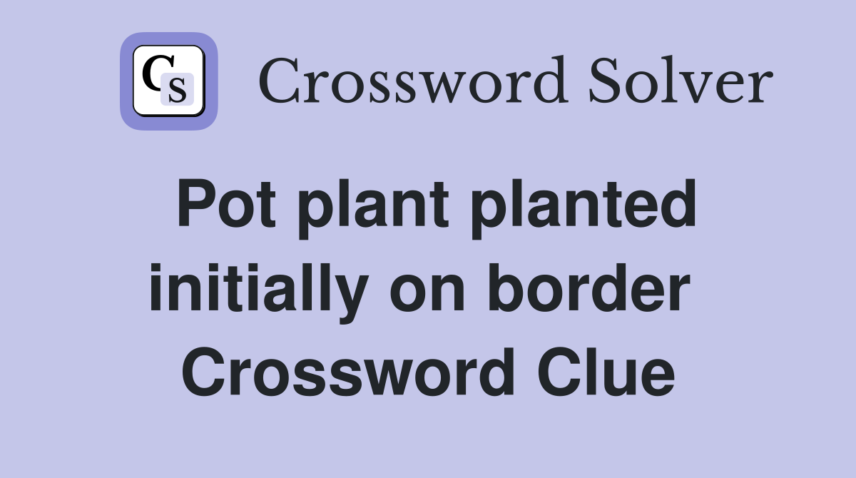 Pot plant planted initially on border  Crossword Clue