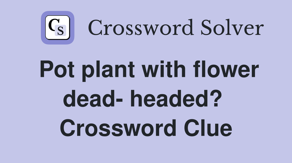 Pot plant with flower dead- headed?  Crossword Clue
