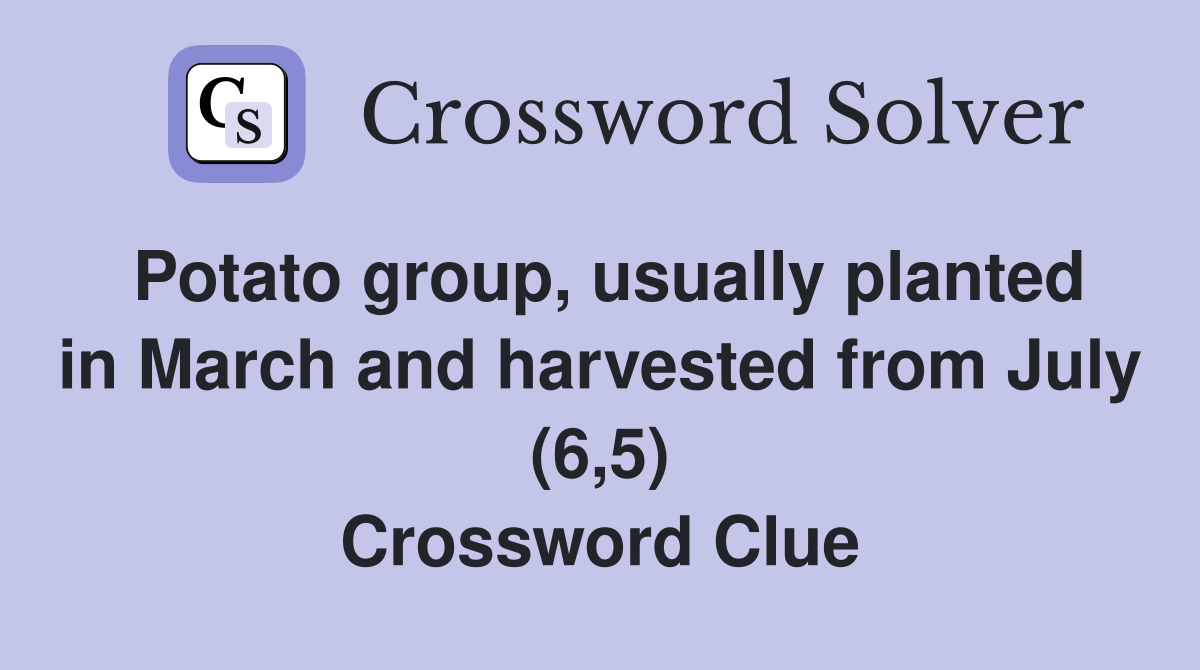 Potato group, usually planted in March and harvested from July (6,5) Crossword Clue