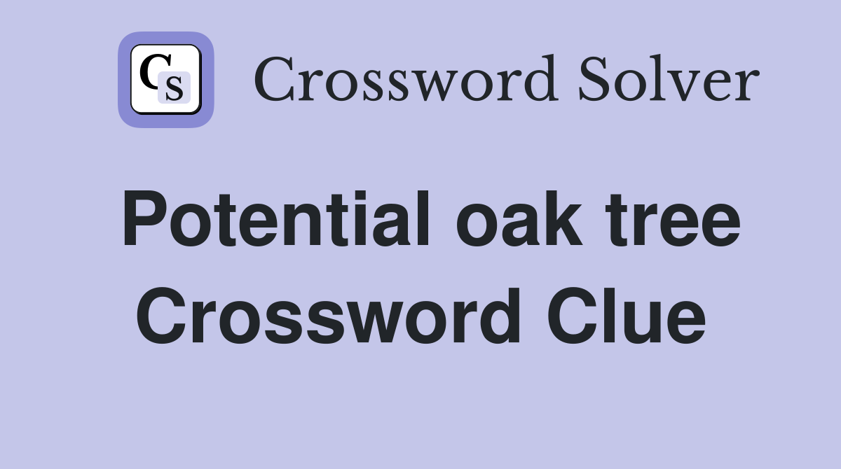 Potential oak tree Crossword Clue